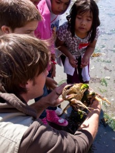 ESC Naturalist explaining crab behavior to students.