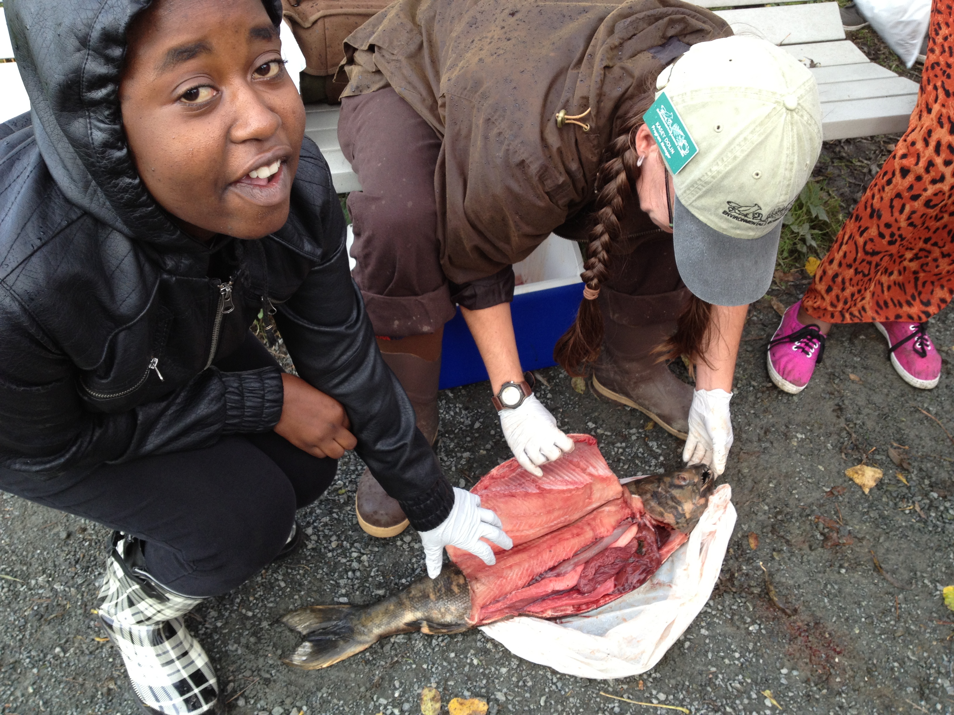 Salmon Dissection - Environmental Science Center