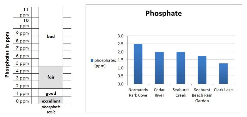 phosphate-graphs-combined