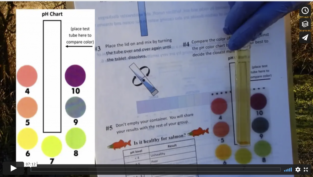 A still from a video showing a vial of yellow-green liquid being held up in front of a pH chart. 