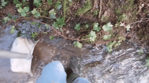 A GIF showing a first-person perspective, looking down at boots standing in a creek. The boots are kicking up the sediment so that it flows downstream into a net with a long handle. 