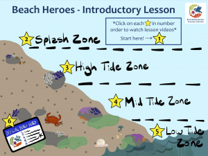 Introductory Lesson Graphic showing the four tidal zones